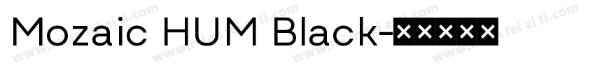 Mozaic HUM Black字体转换